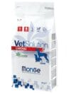 Monge Vet Solution: Cardiac